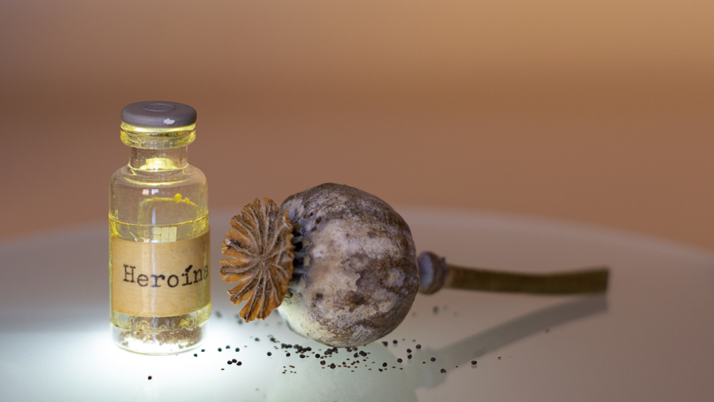 Opium, First Known Addictive Drug.